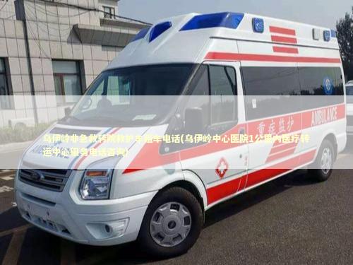 乌伊岭非急救转院救护车租车电话(乌伊岭中心医院1公里内医疗转运中心服务电话咨询)